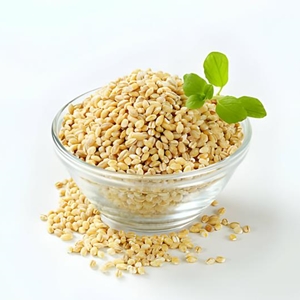 جودوسر