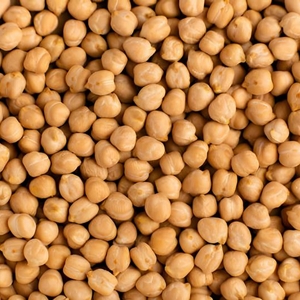 نخود خشک 